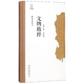 西安小史丛书：文物精粹
