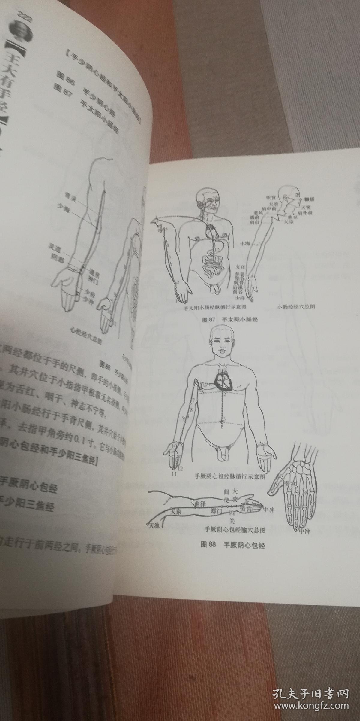 王大有手经 1 全息手诊命理 全程图解 全息手诊手疗分类读本 品佳 定9