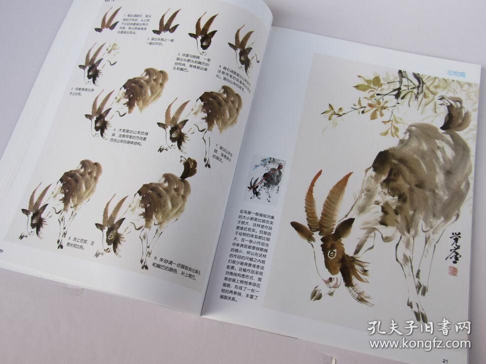 少儿国画入门教程 动物篇 动物绘画技法步骤 怎样画松鼠 兔子 梅花鹿