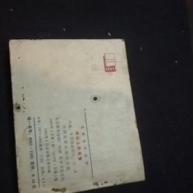 冰山上的来客简谱_冰山上的来来客简谱(3)