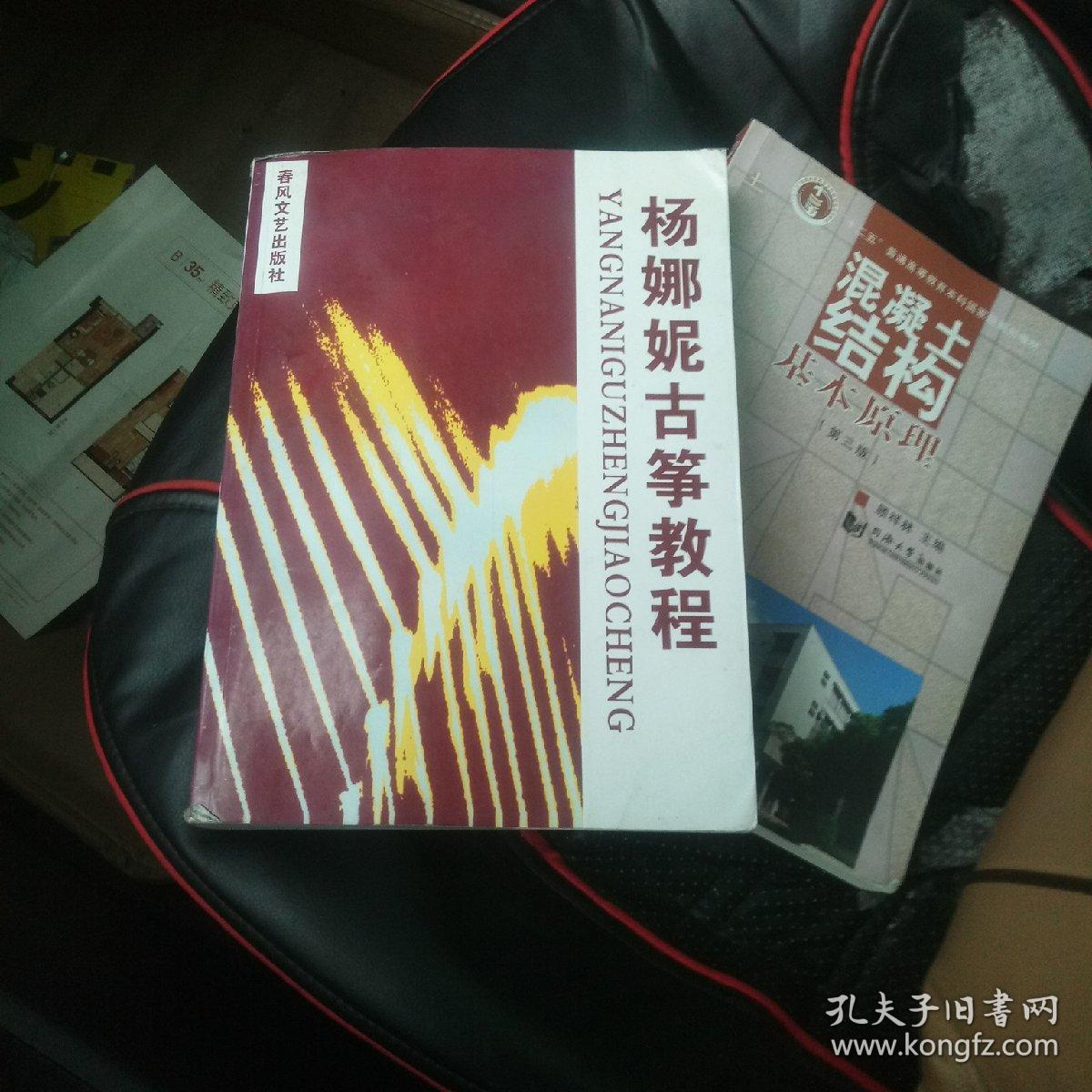 杨娜妮古筝教程