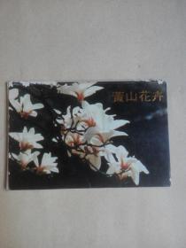 黄山花卉·明信片(十张全)