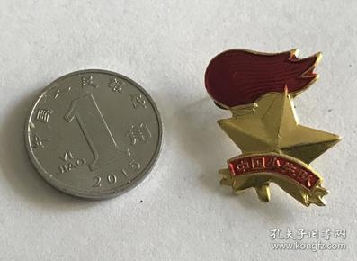少先队纪念章全国 少工委 中国少先队纪念章