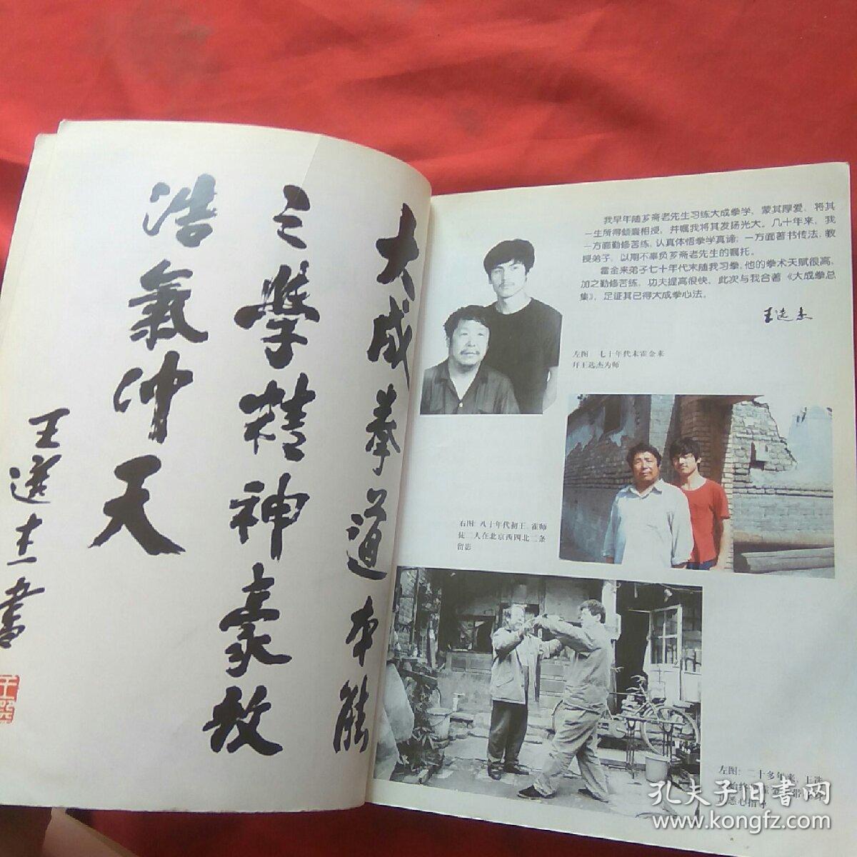 大成拳总集_王选杰 霍金来 编著_孔夫子旧书网