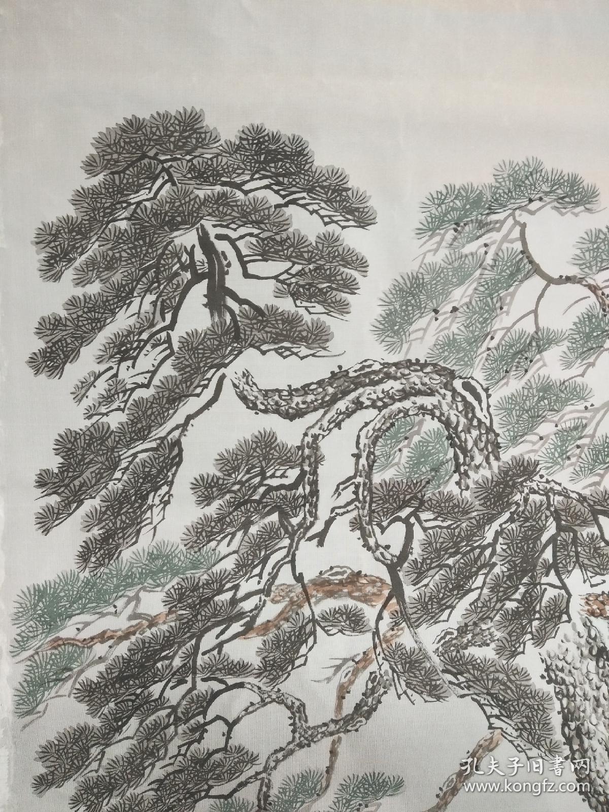 a14645:回流印刷松树图软片(回流书画.回流老画)