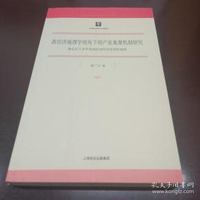 新经济地理学_新经济地理学派(2)
