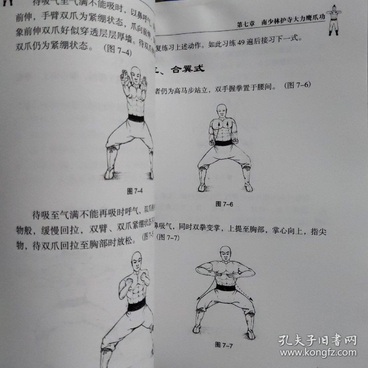 大力鹰爪功秘笈