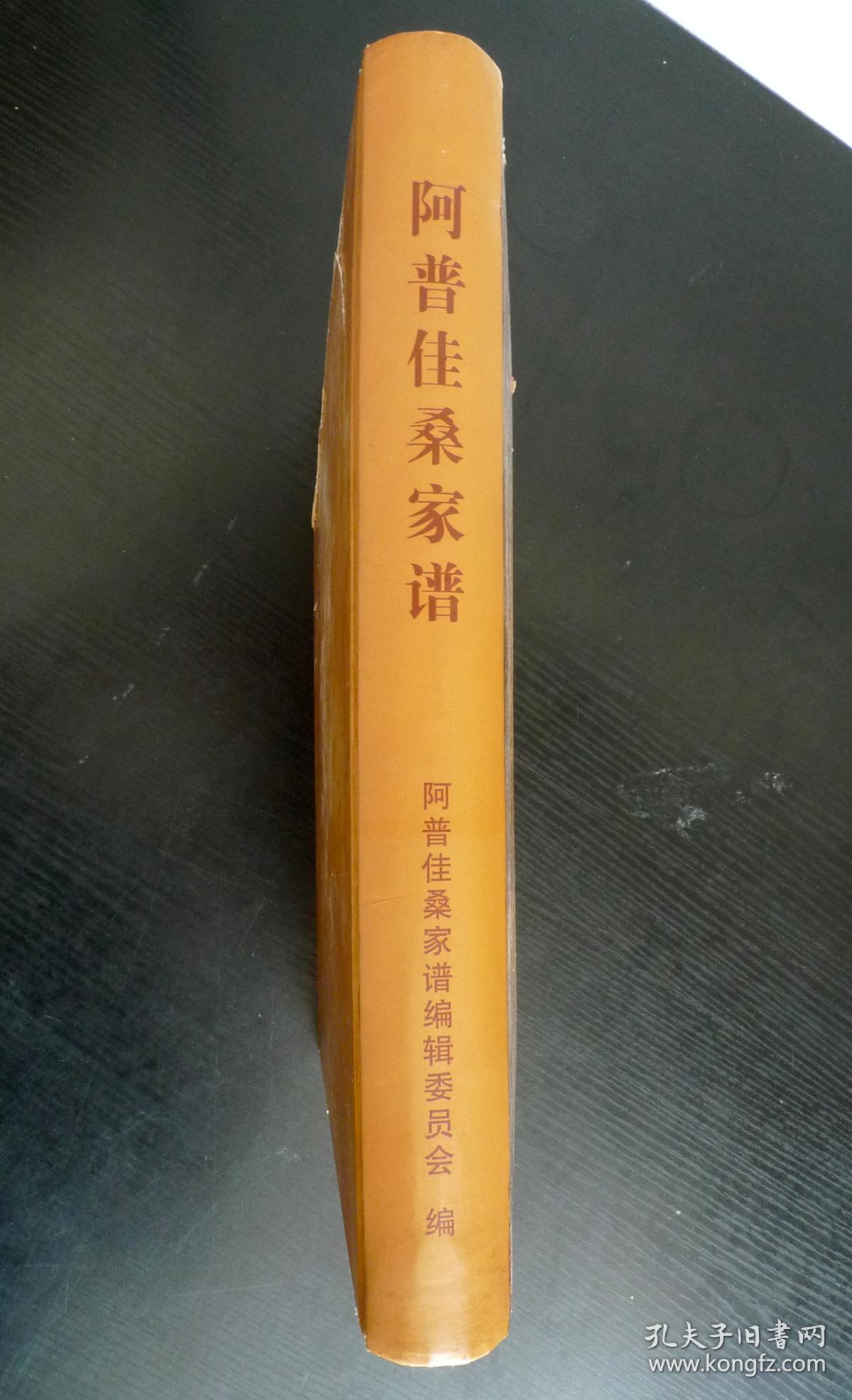 《阿普佳桑家谱》(杨氏彝族家谱) 少数民族家谱 彝文汉文对照