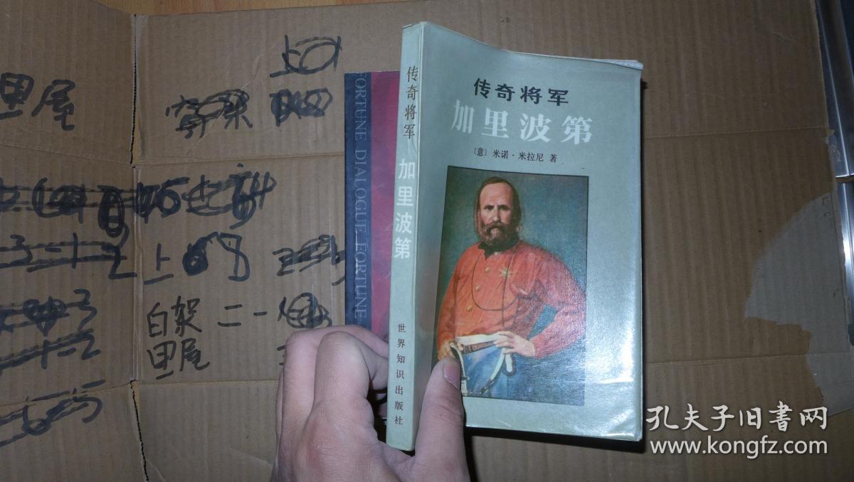 传奇将军 加里波第