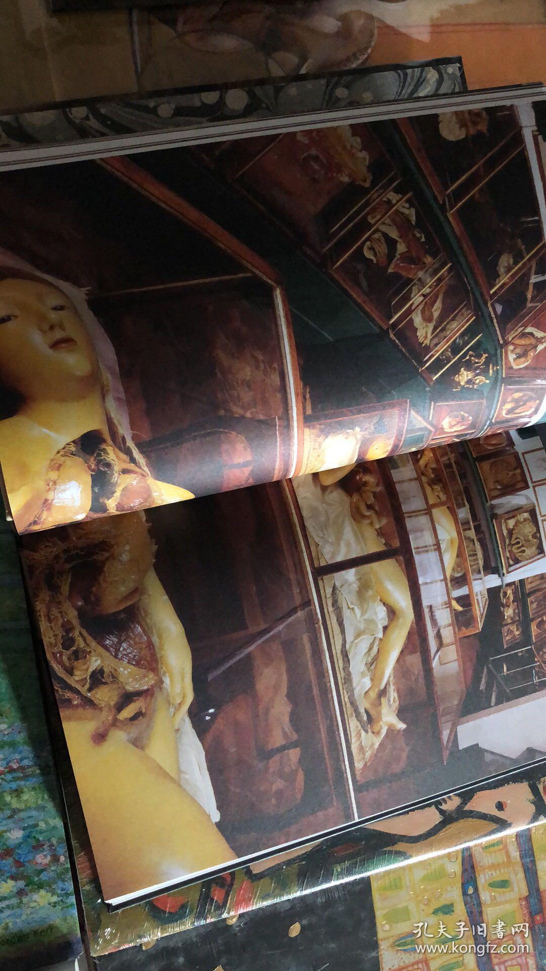 全新现货:进口原版医用解剖画册 the anatomical venus 解剖学维纳斯