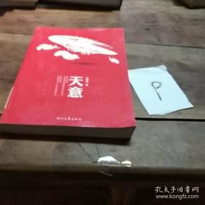 天意