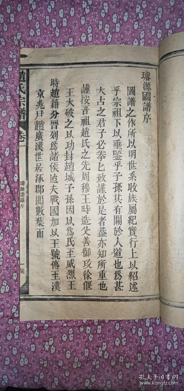 493赵氏皇族族谱,从赵匡胤,赵德芳,赵构,所有皇帝王爷的图像,大文豪