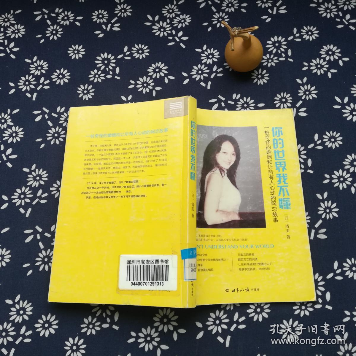 你的世界我不懂