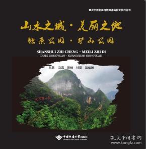 山水之城 美丽之地 地质公园 矿山公园 9787562543541 陈思 中国地质