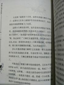 马蜂简谱_被马蜂蛰了的图片(2)