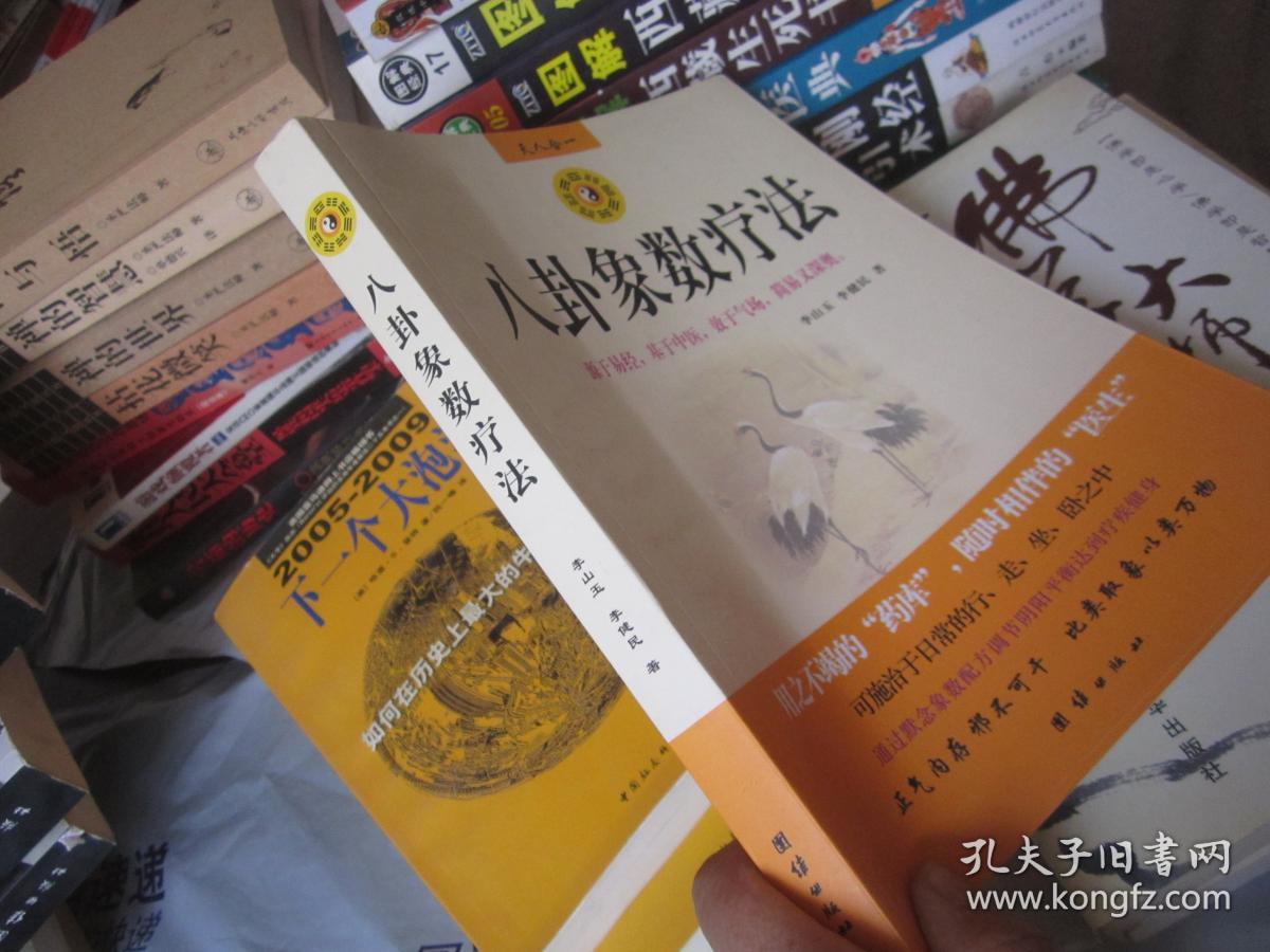 八卦象数疗法