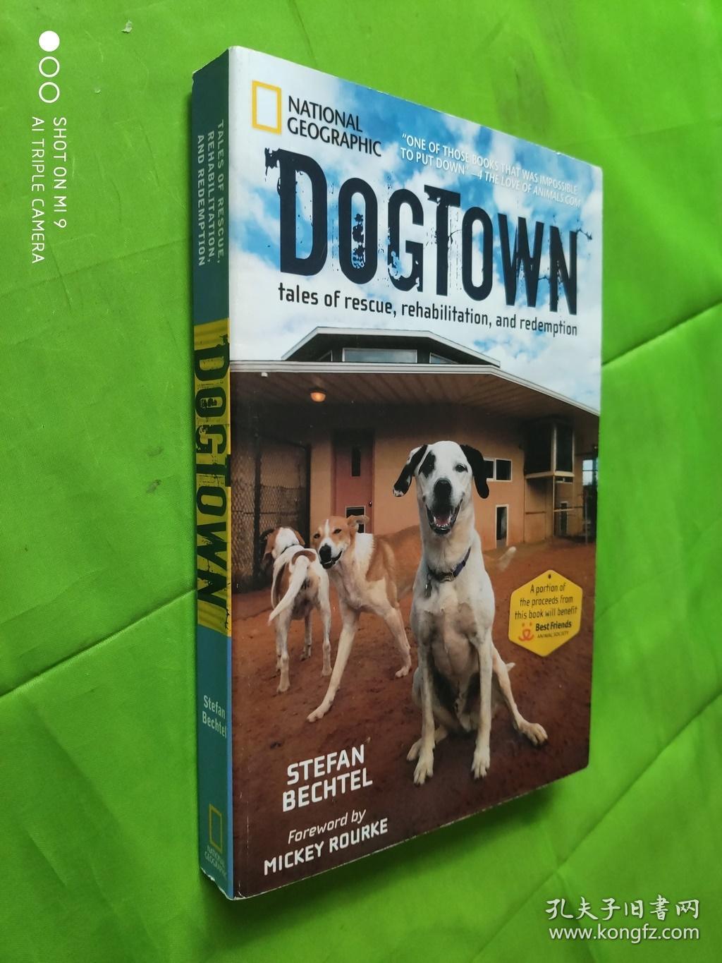dogtown