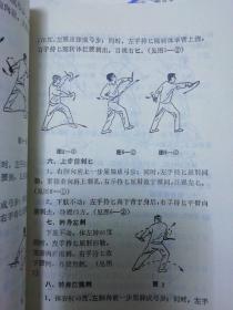《少林六合门》第一集,《少林拳法真传》,《少林匕首》,《少林正宗练