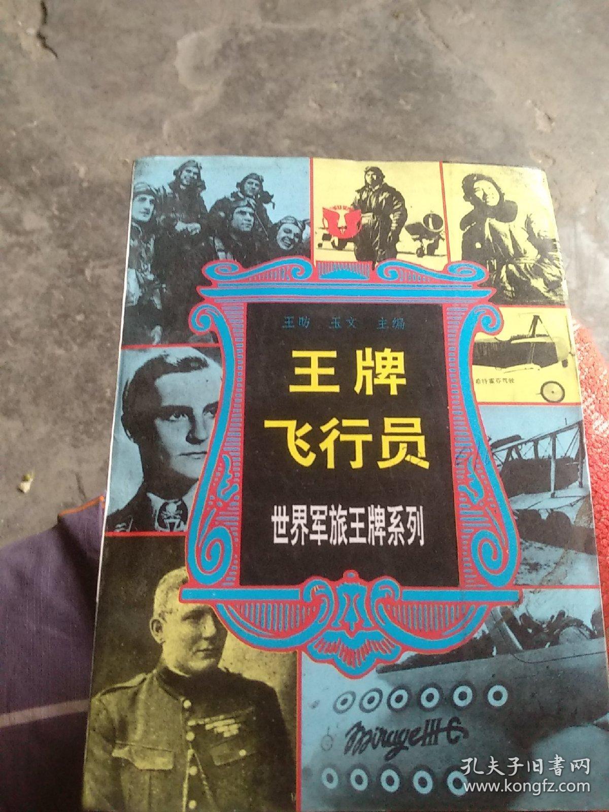 王牌飞行员-世界军营王牌系列(校藏)