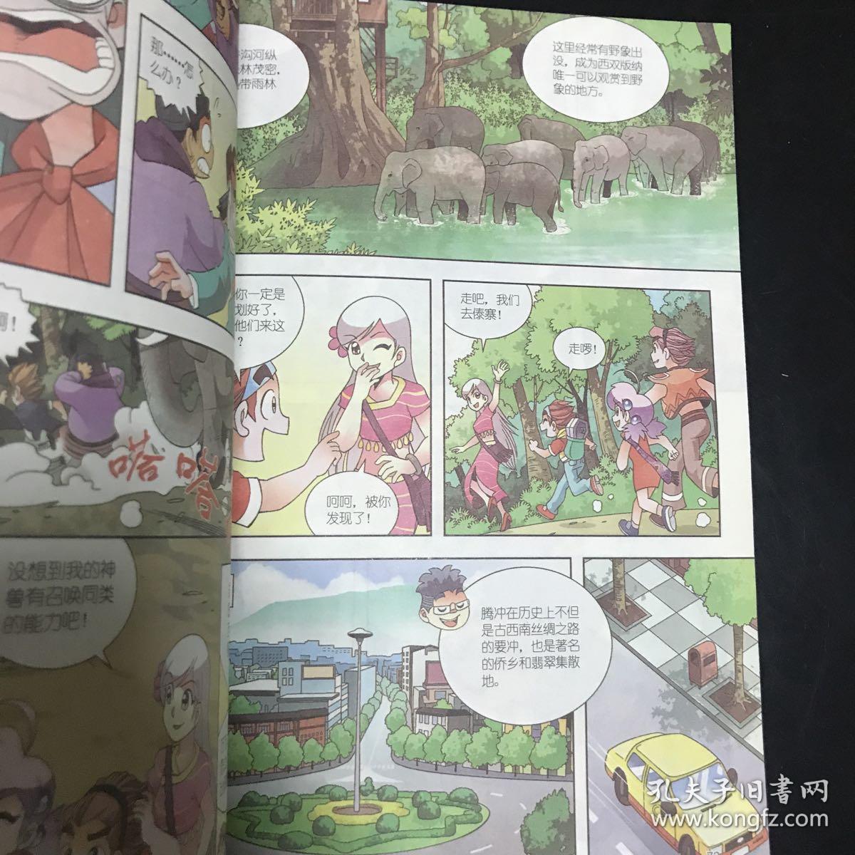 我的第一本大中华寻宝漫画书13:云南寻宝记