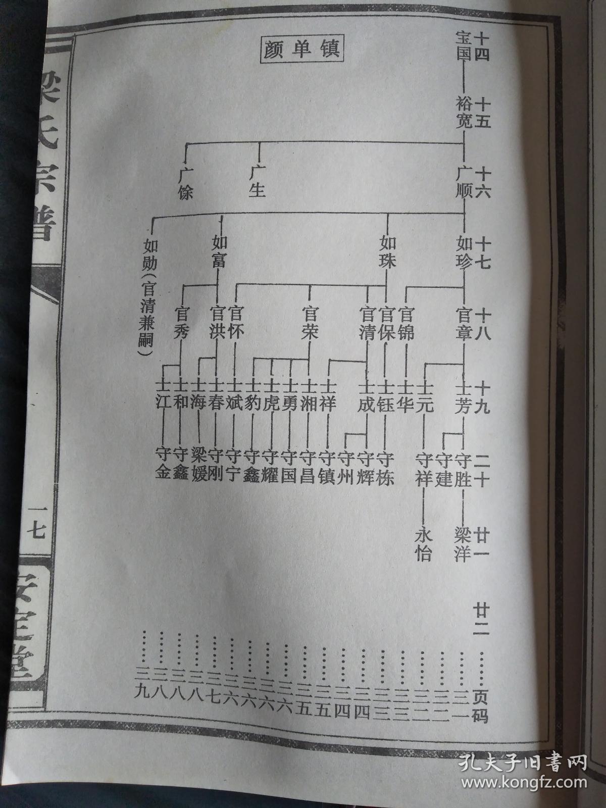 复印件梁氏宗谱安定堂本颜单沿河仲芳公支16开196页2001年续修