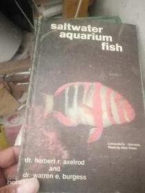 saltwater aquarium fish