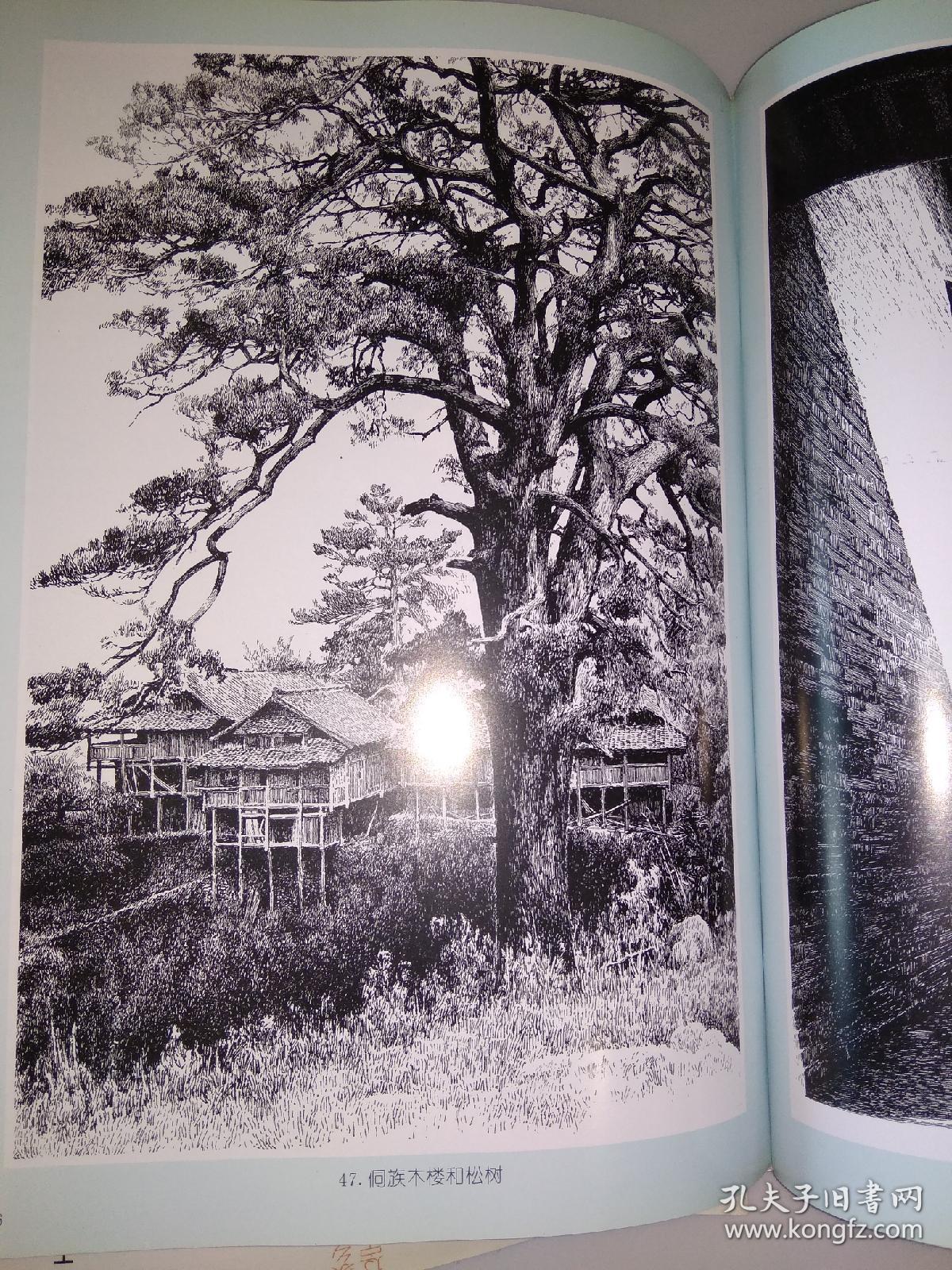 鲁愚力钢笔画技法