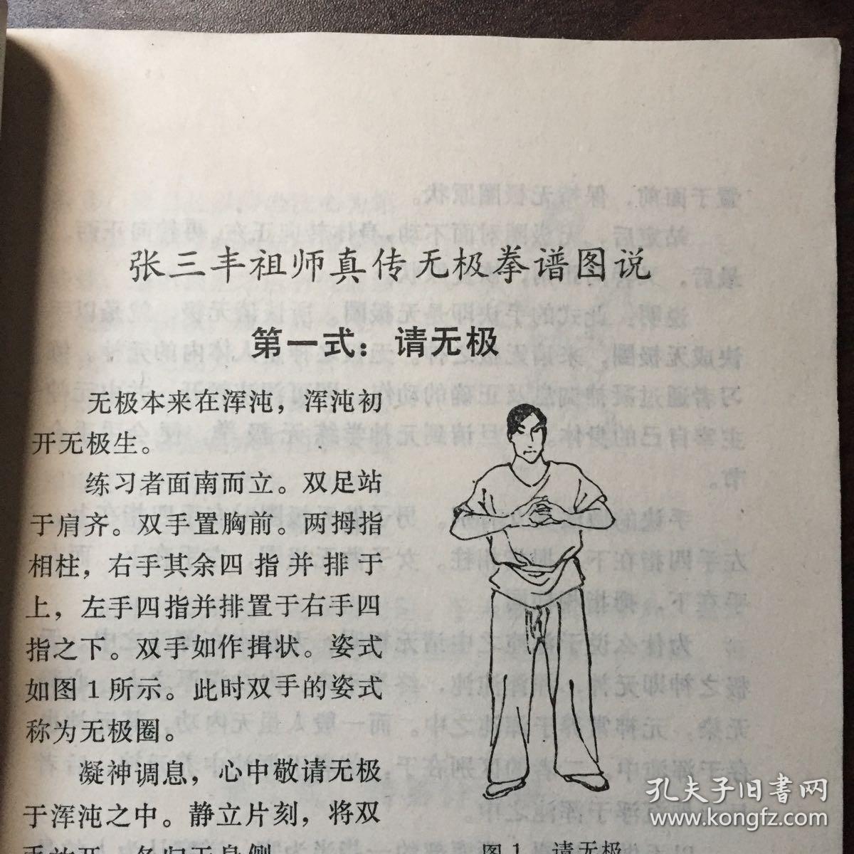 无极拳谱图说全集