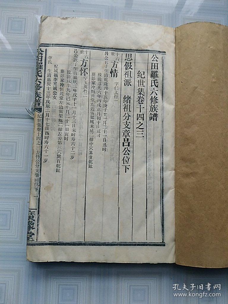 《公田罗氏六修族谱》【纪世集二十六】