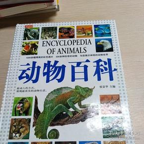 动物百科