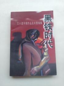 黑铁时代:王小波早期作品及未竟稿集