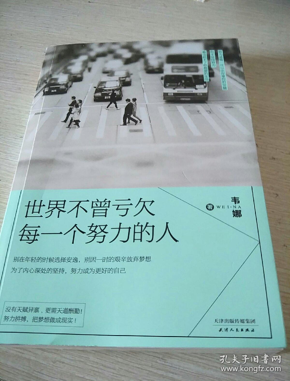 世界不曾亏欠每一个努力的人