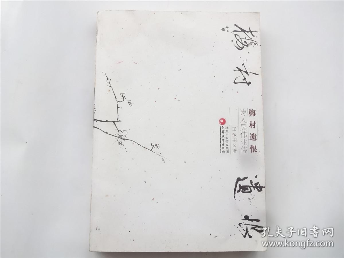 梅村遗恨:诗人吴伟业传