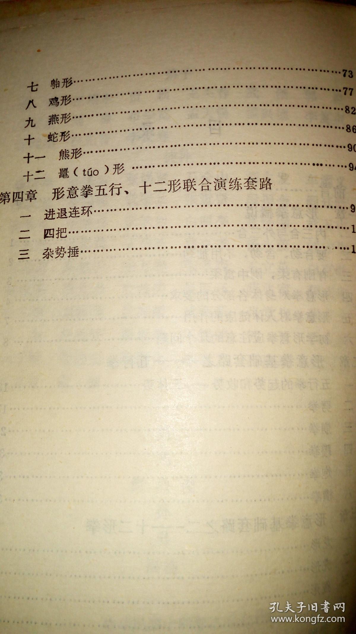 山西车派形意拳