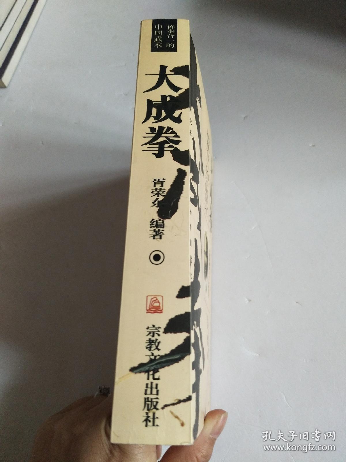 大成拳禅拳合一的中国武术2003年版