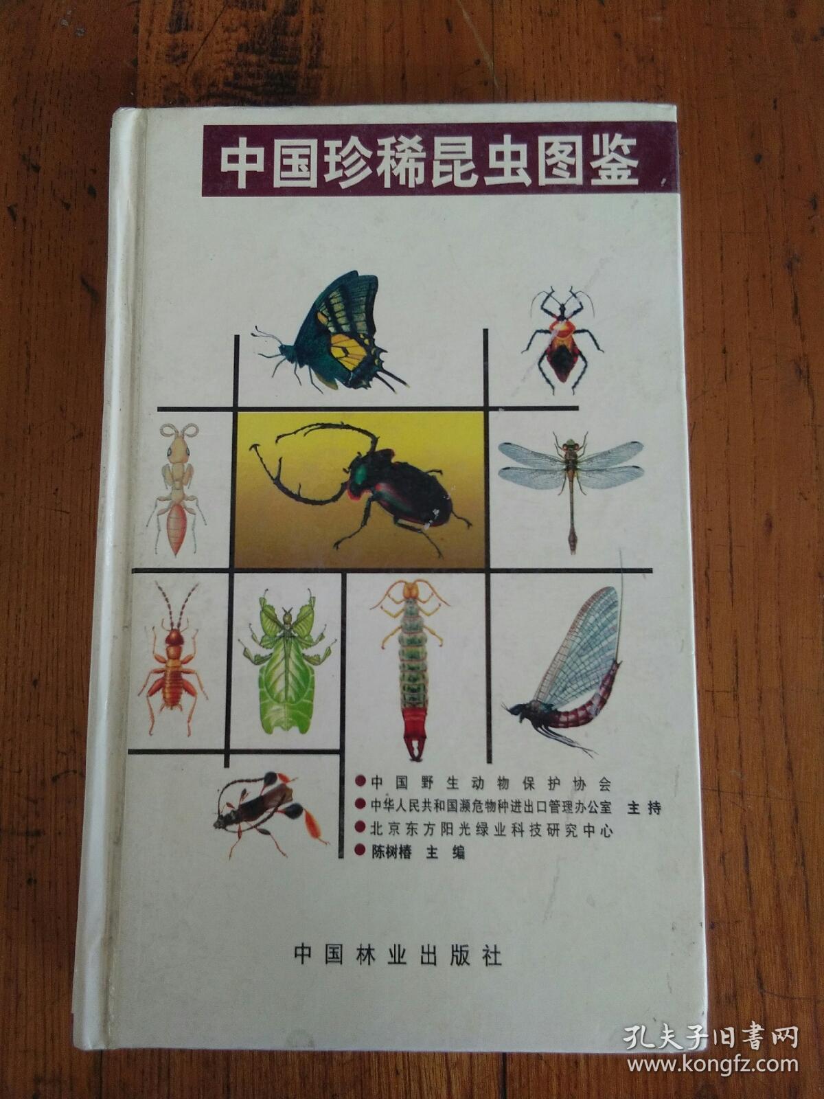 中国珍稀昆虫图鉴