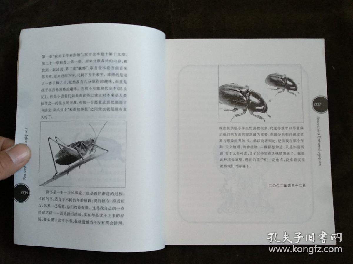 昆虫记:彩图故事版(手绘彩色插图)