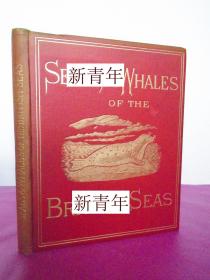稀缺， 《英国海洋海豹和鲸  》板画插图， 约1881年出版