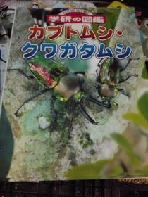 日文版：学研の图鉴 昆虫甲虫