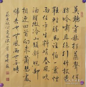 著名书法家雷崎巍精品斗方:苏轼《定风波》