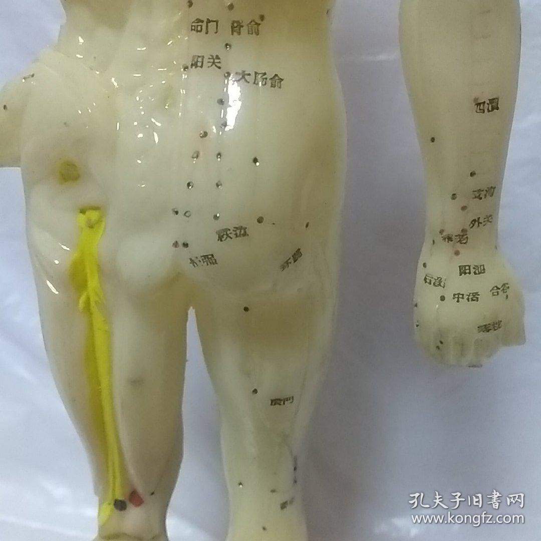 针灸穴位人体模型 塑料材质
