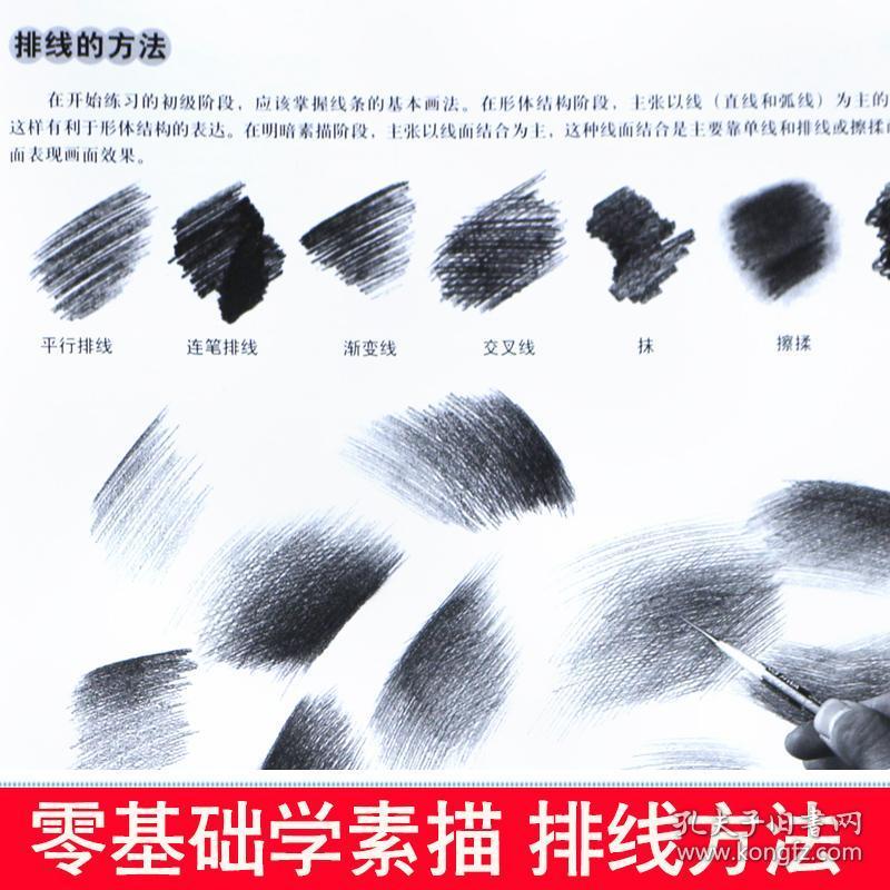 高考艺考铅笔画手绘素描入门自学零基础绘画临摹素描书入门自学零基础