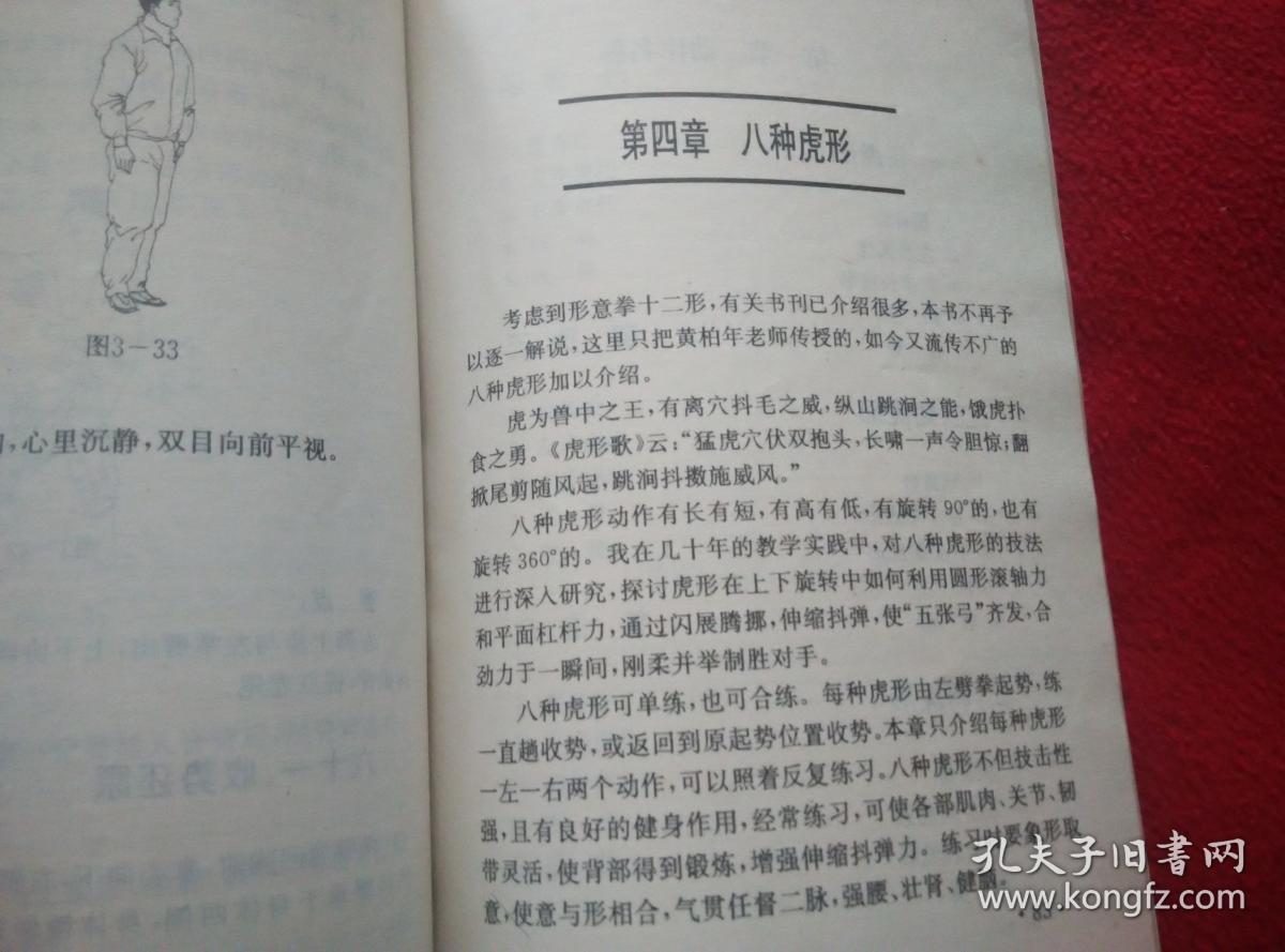 形意拳实战技法(黄柏年先生嫡传形意五行进步连环和退步 十二横捶八种