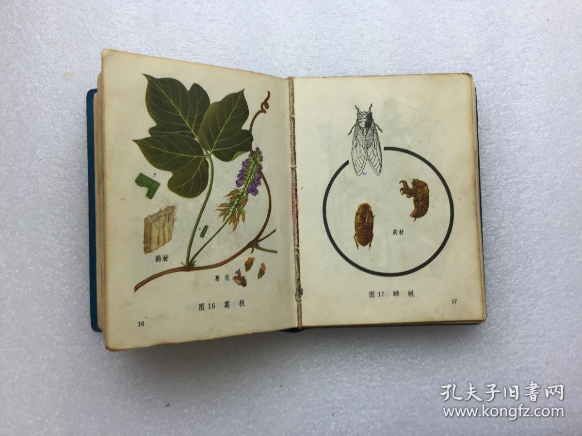 林题撕毁.书侧黄印不齐.看图
