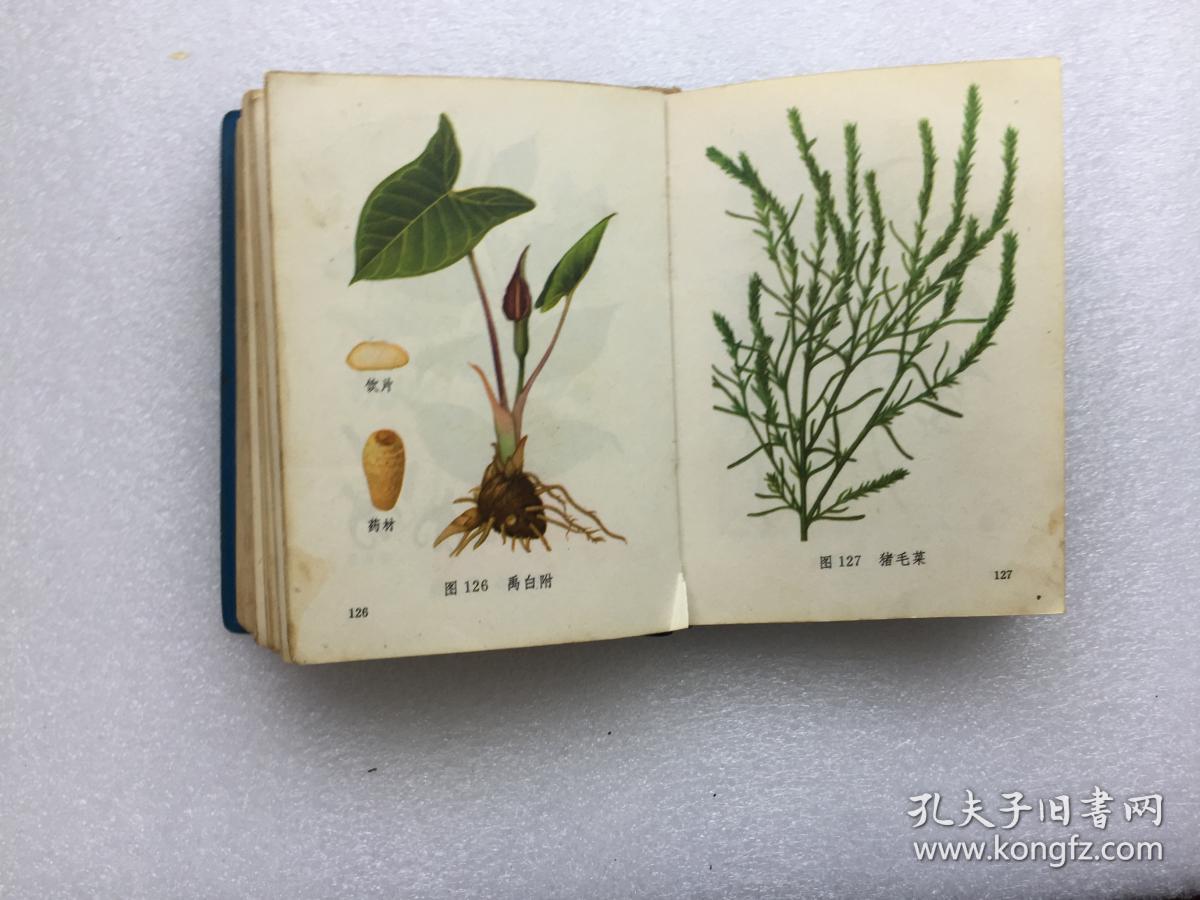 林题撕毁.书侧黄印不齐.看图