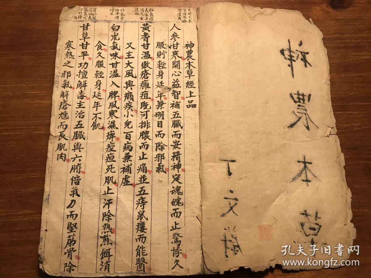 《药性医方》一册全 丁文蔚抄 极品精美抄本中医书 病例药例祖传秘方