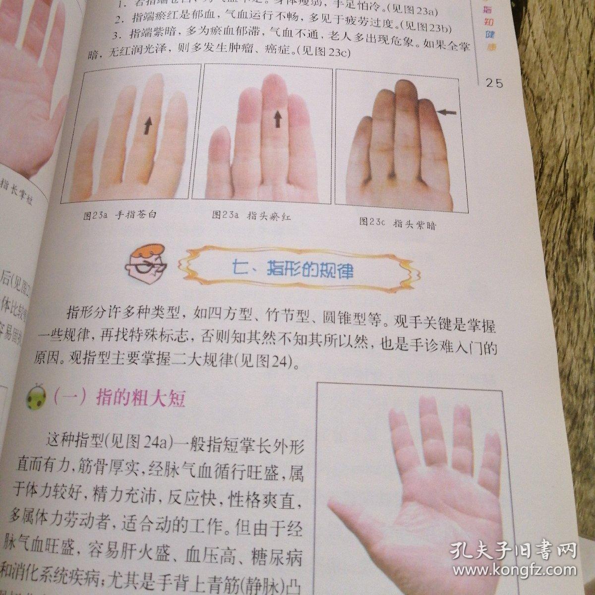 观手知健康:经络全息手诊_蔡洪光 著_孔夫子旧书网