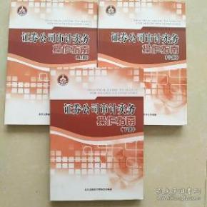 证券公司审计实务操作指南 上中下