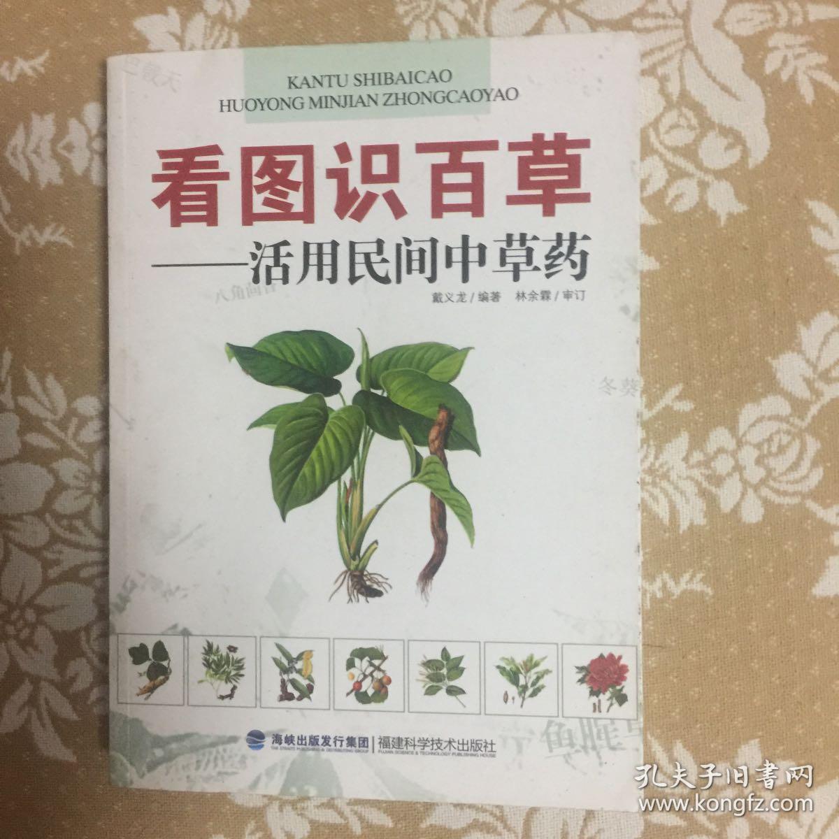 看图识百草:活用民间中草药