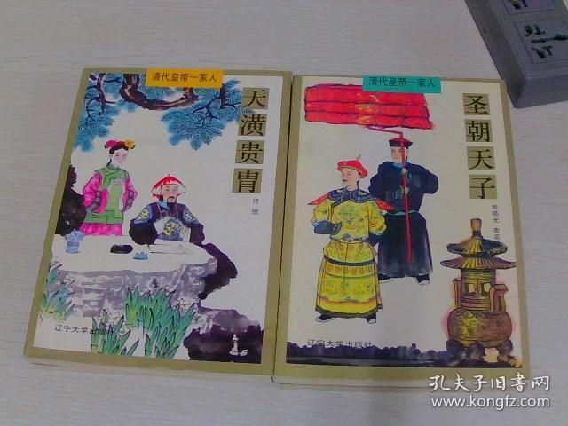 清代皇帝一家人 【全6册】【圣朝天子,天潢贵胄,后宫佳丽,金枝玉叶,凤